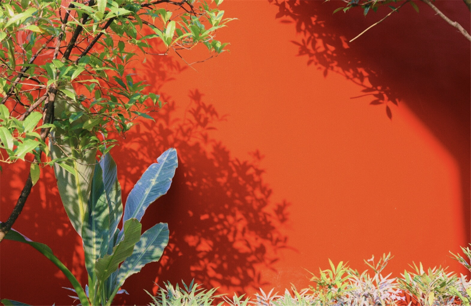 南京旅游攻略：金陵城头望十里秦淮，叹良辰美景来之不易