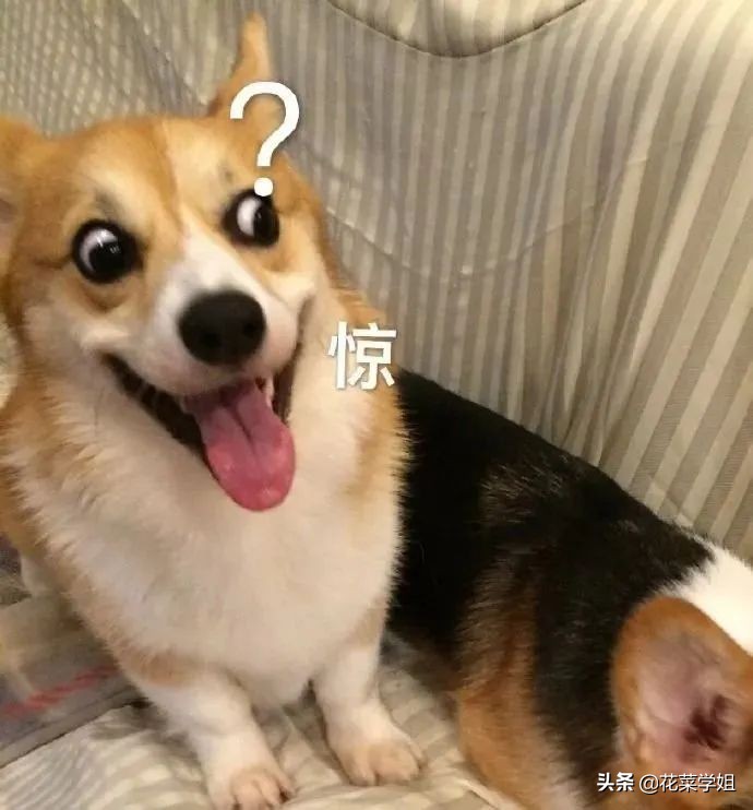 蔡经理年终奖7000万？基金经理年终奖到底有多恐怖