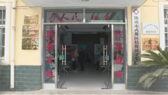 甘肃省武都区：健康扶贫惠民生