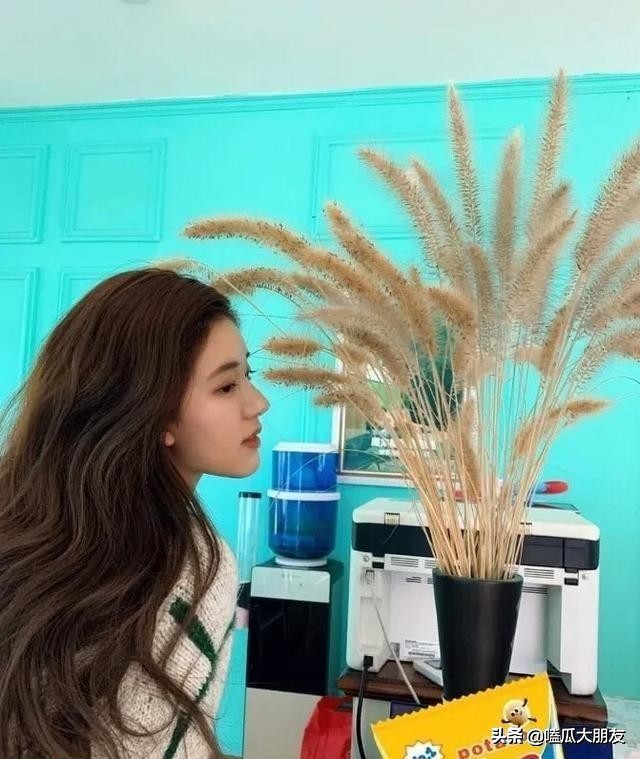 掉发、发际线后移对于他们，通通不存在！娱乐