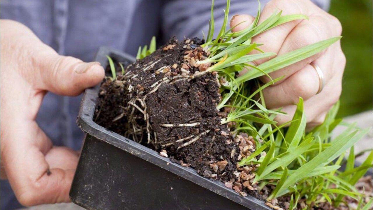 比芯片还重要的行业，超7000名专家不辞辛苦研究，势在必得