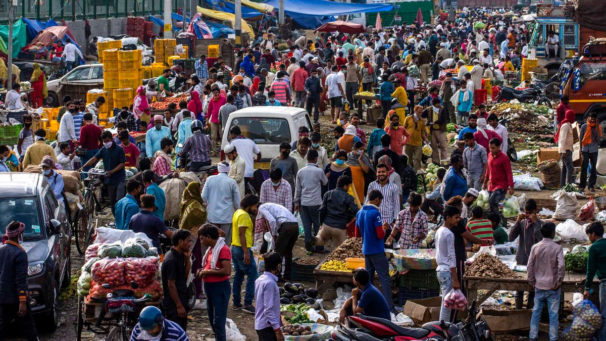 印度致命真菌正在扩散，多名新冠幸存者宣告死