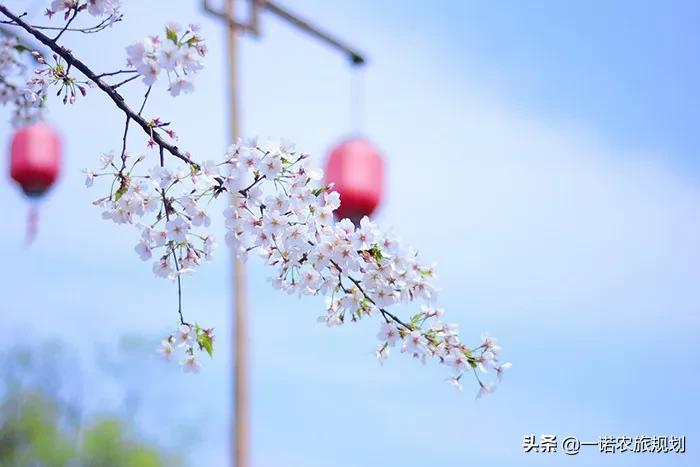 古鎮(zhèn)旅游如何提升呢？