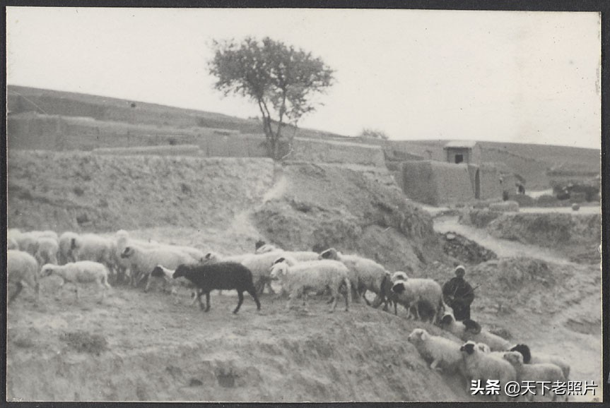1936年宁夏同心县老照片 典型的西北旱塬和村子影像