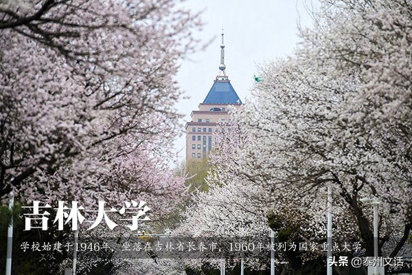 30所高颜值大学，你的母校上榜了吗？