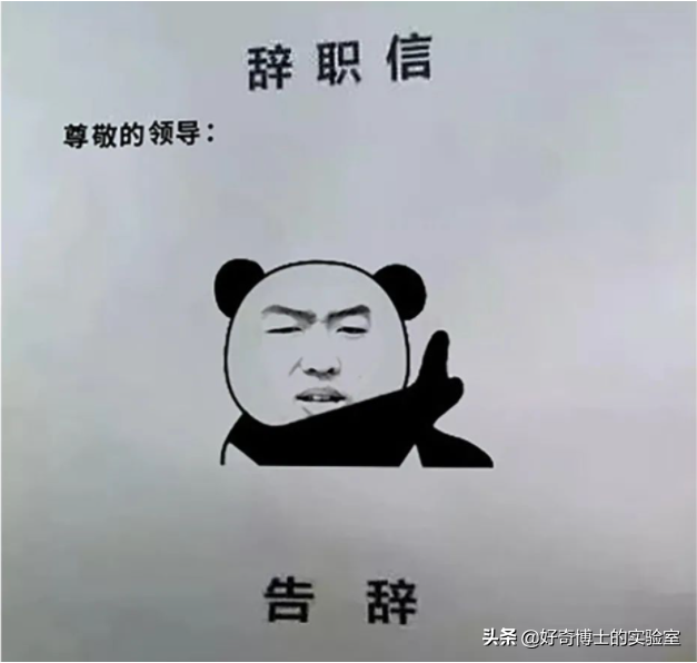 淦！原来上班真的会让人变丑