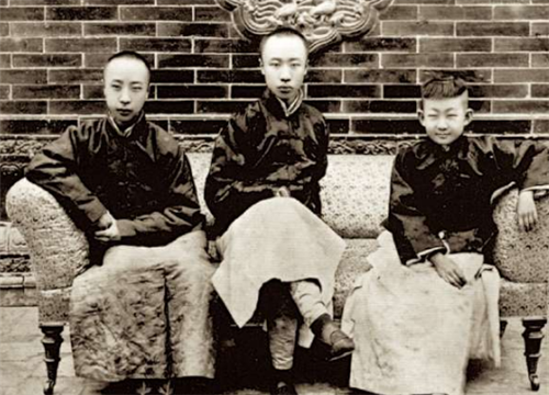 末代皇帝溥仪临终前，为何一直喊河车丸？河车丸是干啥的？