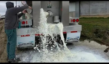 相比美国农业，中国农业也有独特的优势！这场