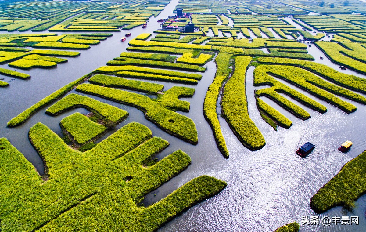 2021年這些農(nóng)業(yè)項(xiàng)目有重大補(bǔ)貼，補(bǔ)貼數(shù)額驚人