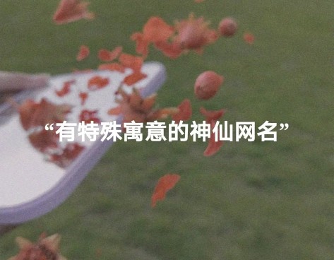 特殊寓意的神仙网名