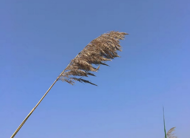 写给无法在一起的人 注定走不到一起的句子图片