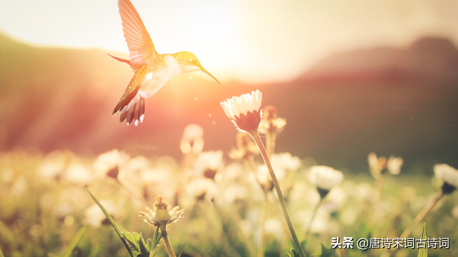 描写四季的诗句-第1张图片-非凡网