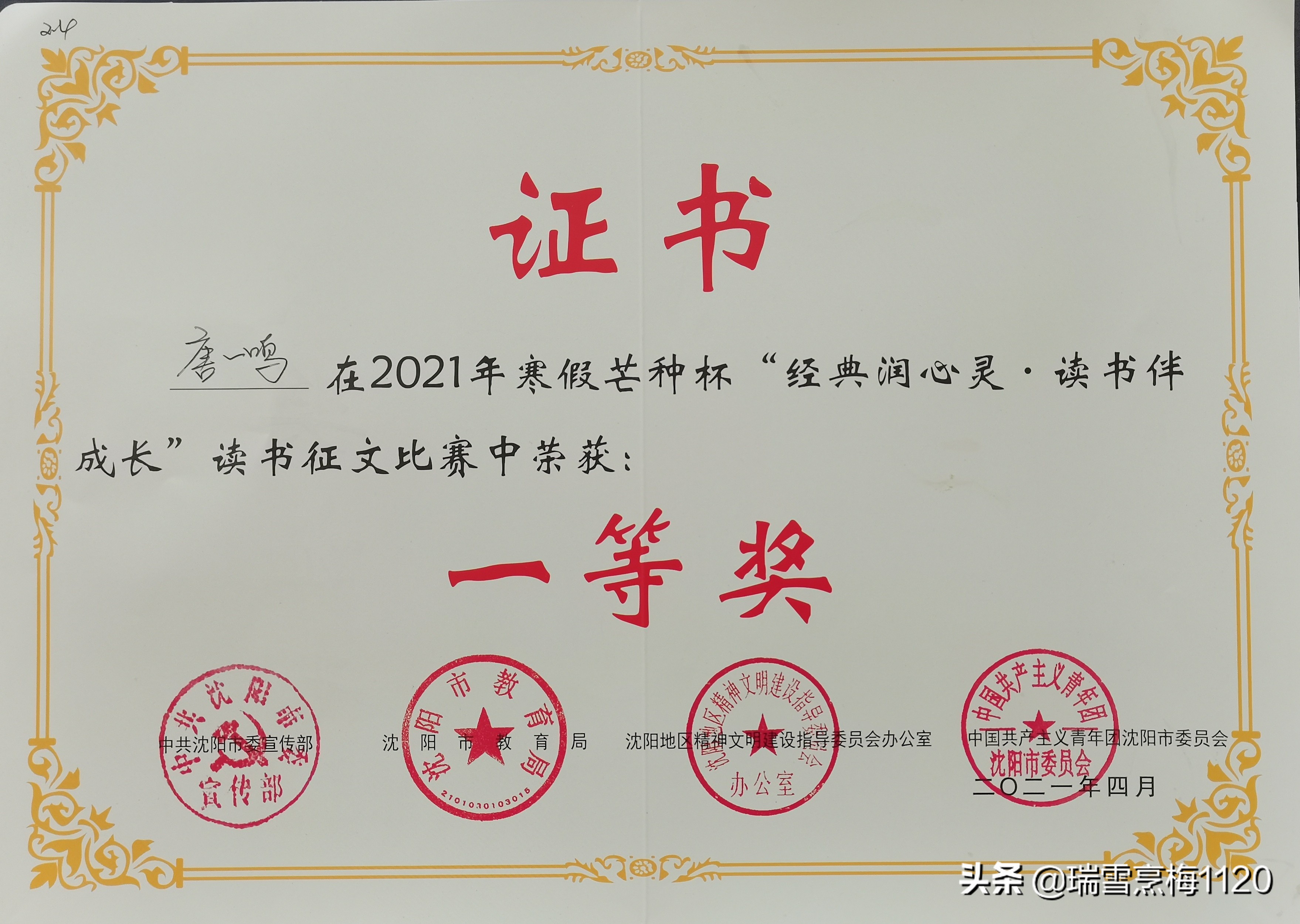 沈北新区新城子街第一小学2021寒假芒种杯获奖(图2)