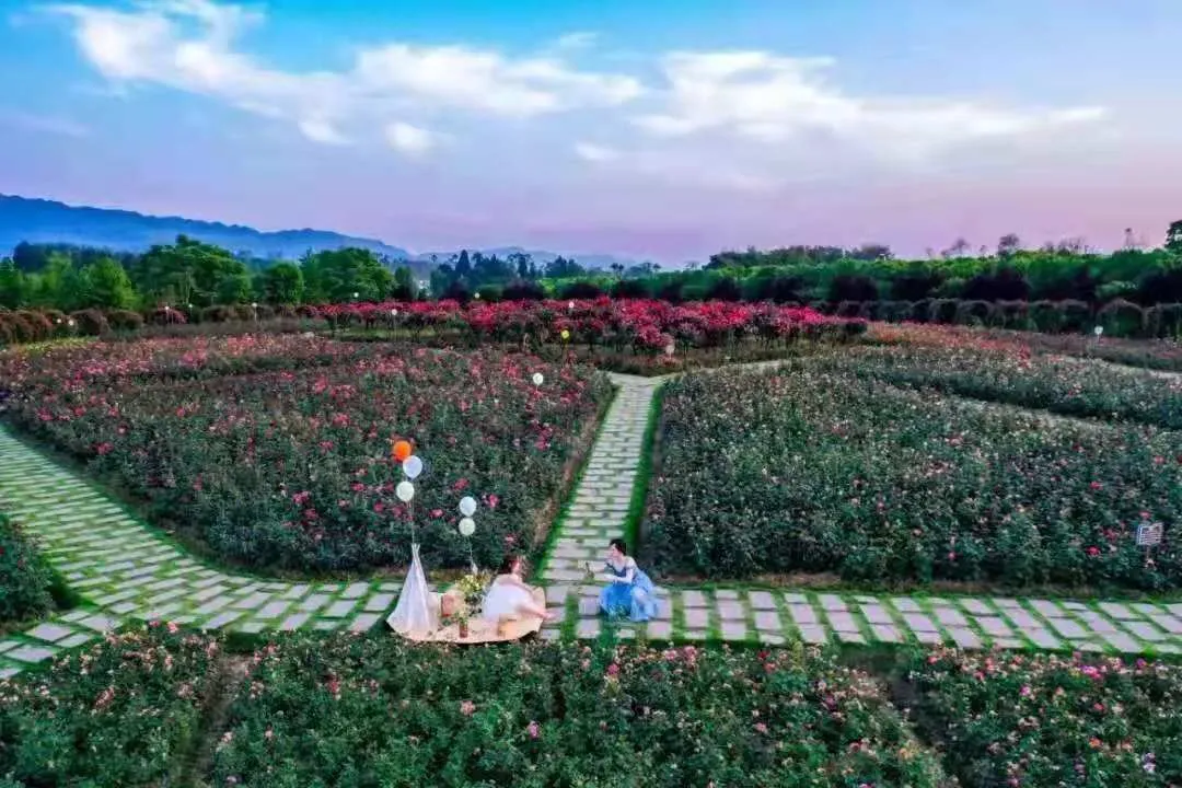 重庆旅游重庆推出21条红色旅游精品线路,带你重
