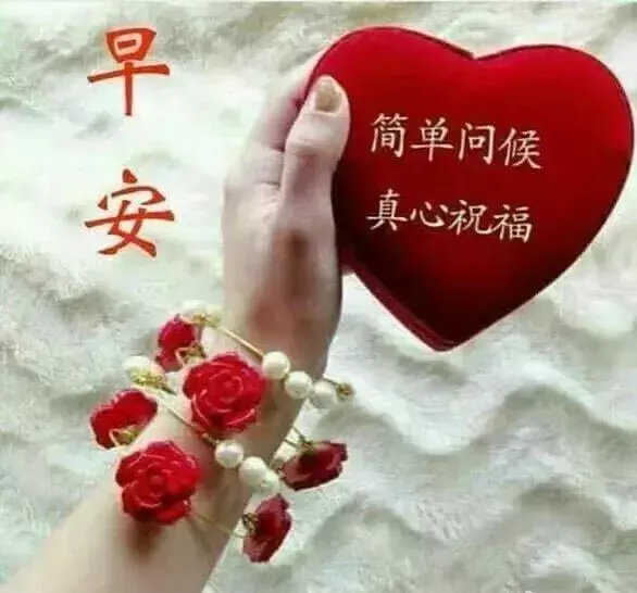 彼此懂理解理解的句子  相遇不易,彼此珍惜句子图片