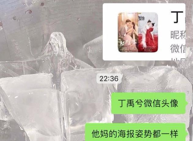 当代端水大师丁禹兮，就连回答网友问题都能做到滴水不漏