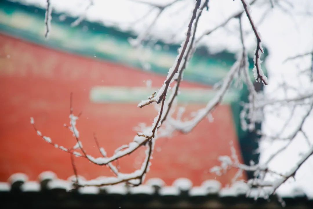 40位知名诗人，一人一句雪的诗词，治愈了整个冬天-第1张图片-非凡网