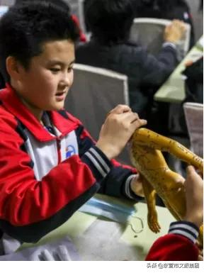 花仙谷中草药园景观全新升级！中医药研学新亮点