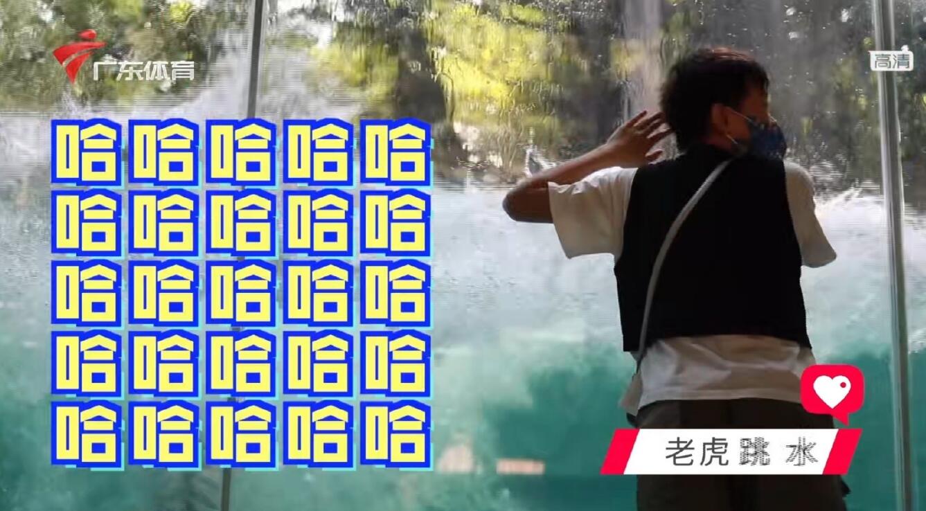 全红婵游玩细节曝光！看老虎跳水+给熊猫拍照，网友：小奶音真甜