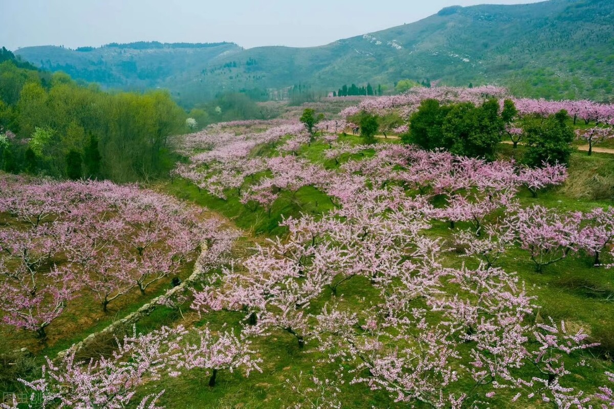 十里尽是桃花，香径凌烟，幽壑浮霞