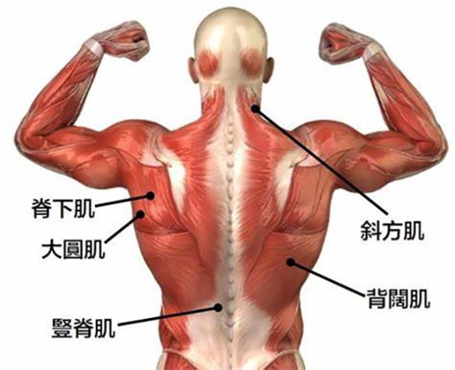 3個徒手背部訓練動作，幫做不了引體向上的你練強背部肌群
