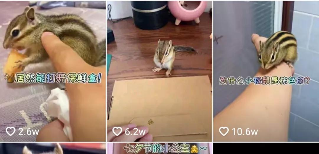 想做短视频赚钱，又不用真人出镜的账号类型有哪些
