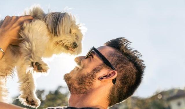 原来养狗有这10大“福利”，怪不得养的人多，我也想养一只