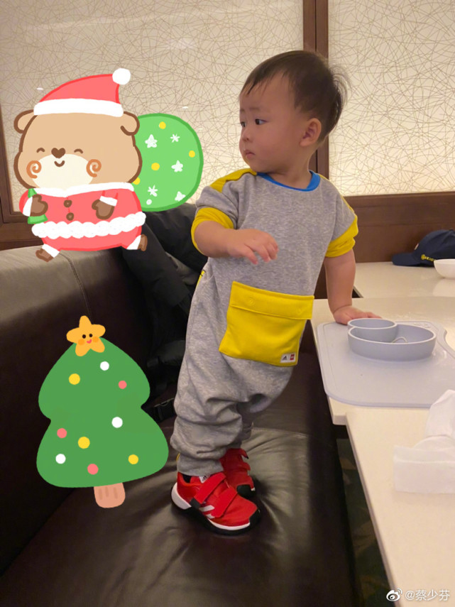 张晋带儿子出镜，鱼蛋眼神呆萌，不动抢到C位，张晋满眼都是儿子