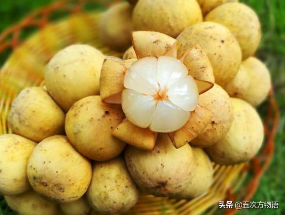 一篇教你认清常见水果类型,建议收藏 一篇教你认清常见水果类型,建议收藏