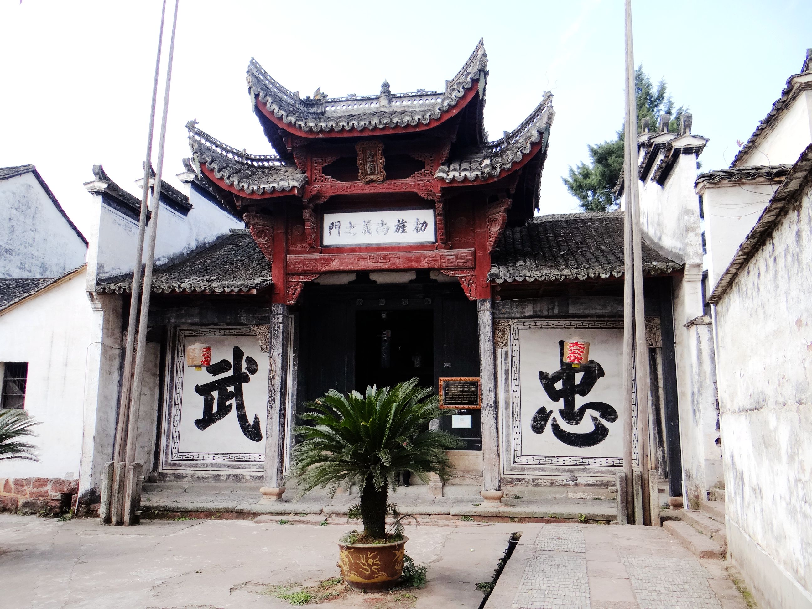 诸葛八卦村构建神奇，后世子孙多以医药为业，这是为了什么原因？