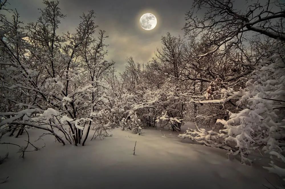 古诗词里的十二月十五，一年中最后的月圆，有雪，有月，有诗意-第8张图片-诗句网