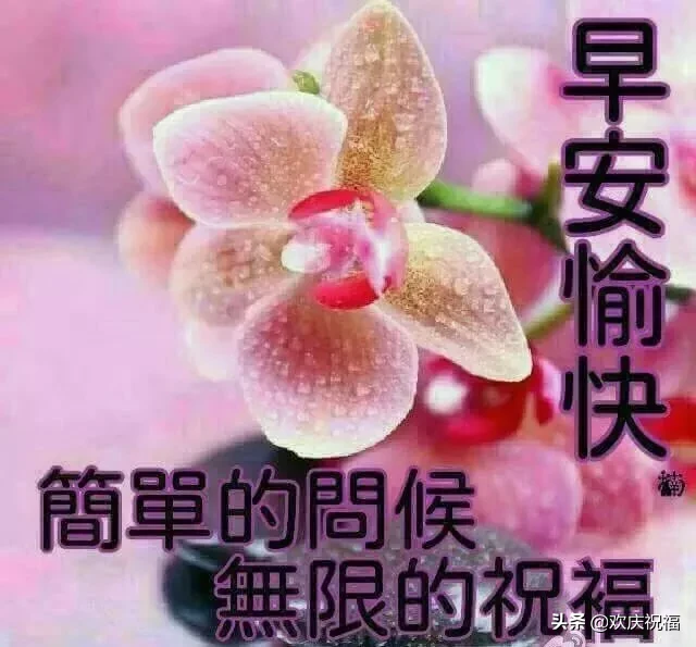 关爱女性健康经典话语，健康与美丽的经典语句