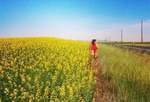 The journey illuminates such patting, true meeting is very good-looking