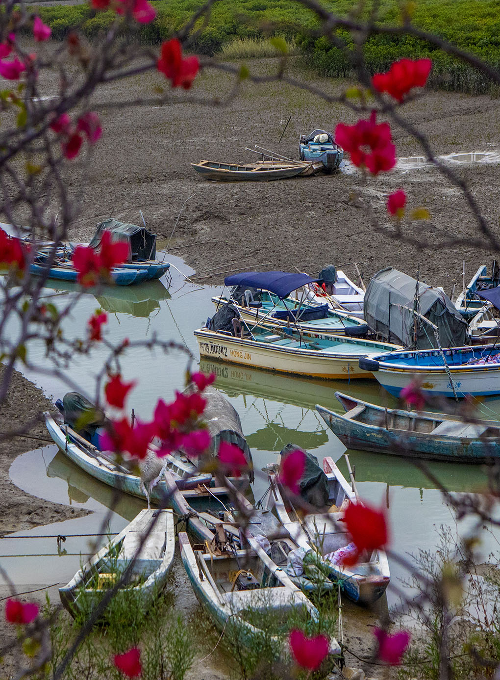福建泉州的洛阳桥，是中国四大名桥中，唯一免收门票的千年古桥