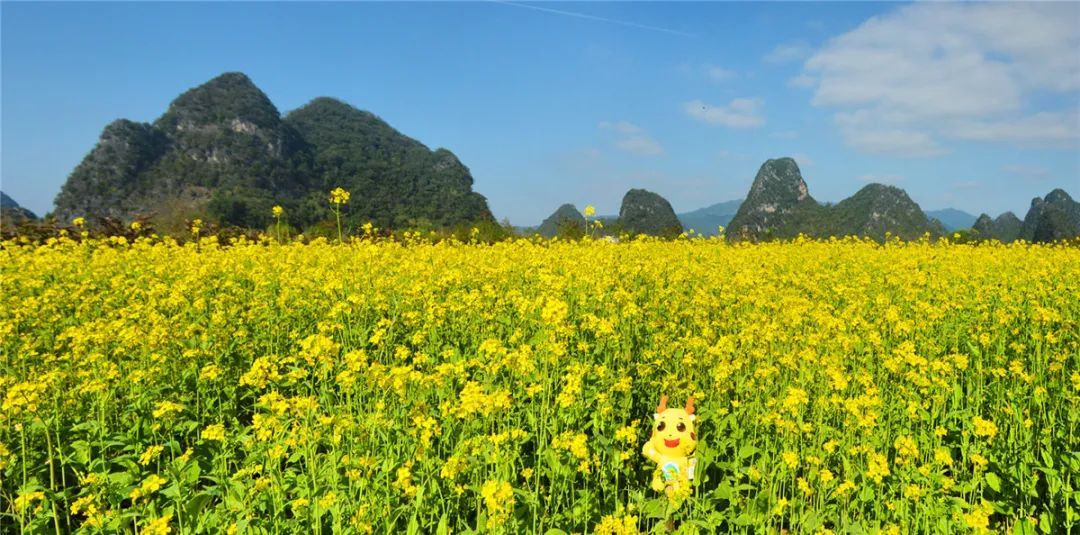 免费玩！清远这座