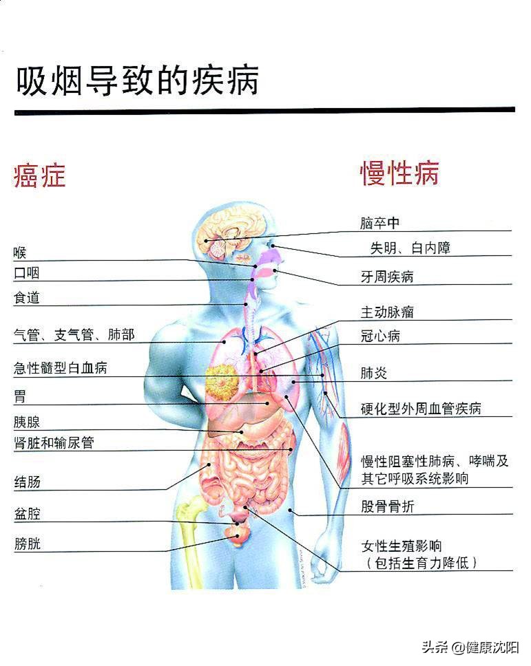 健康知识普及行动系列科普知识讲座之控烟行动篇