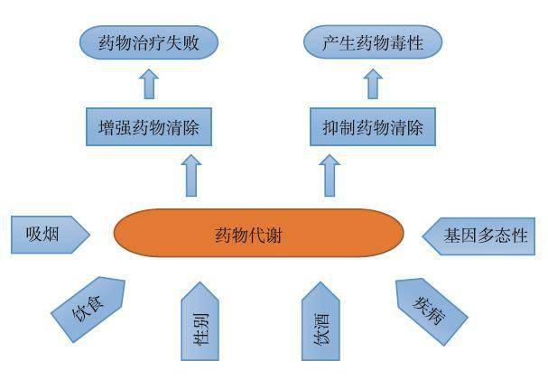 三种“他汀”和这些心血管药物同服要当心！控制剂量保安全