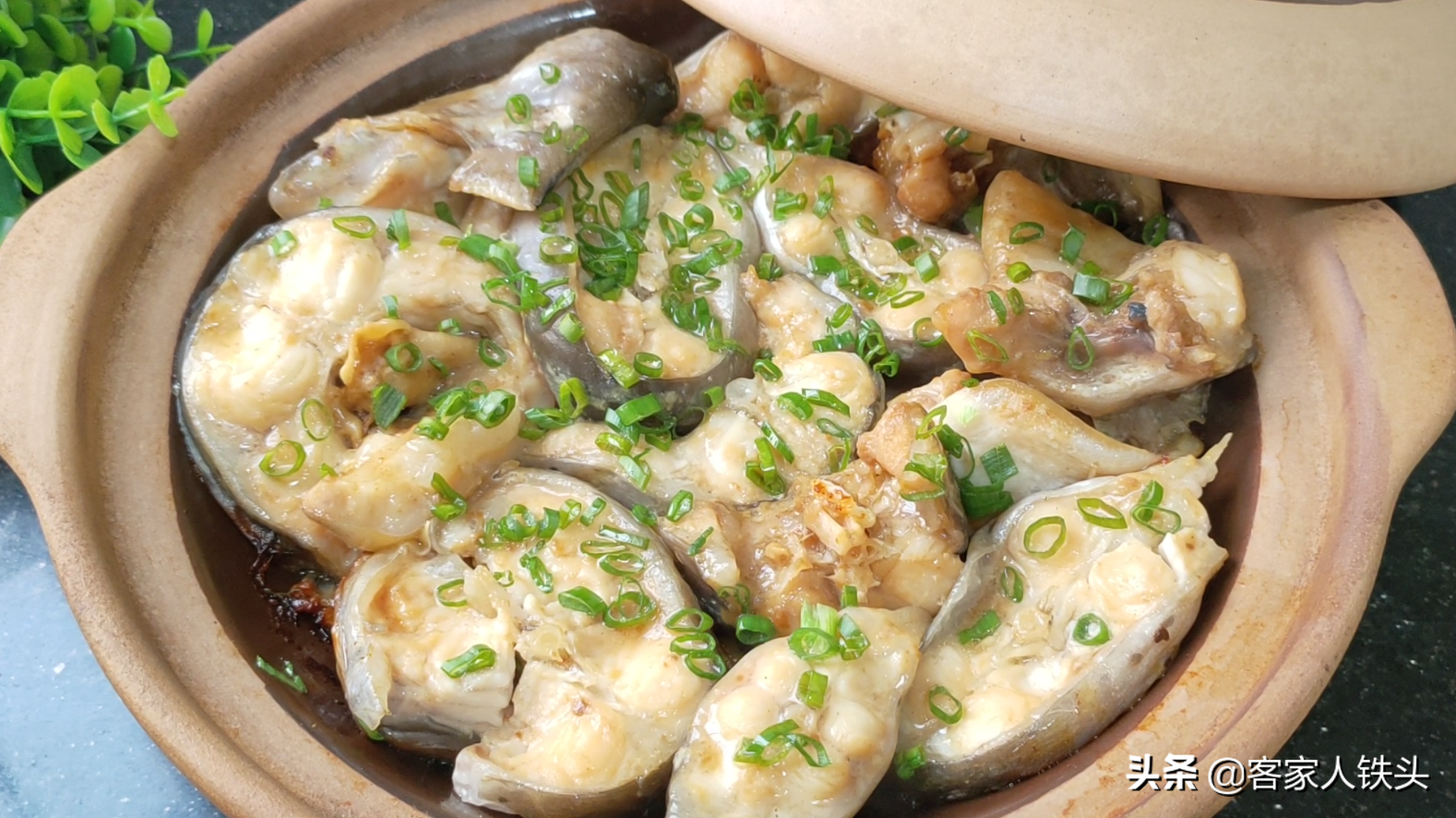 做生焗魚煲，廣東人真有一套，一醃一焗就開吃，簡單好吃營養豐富