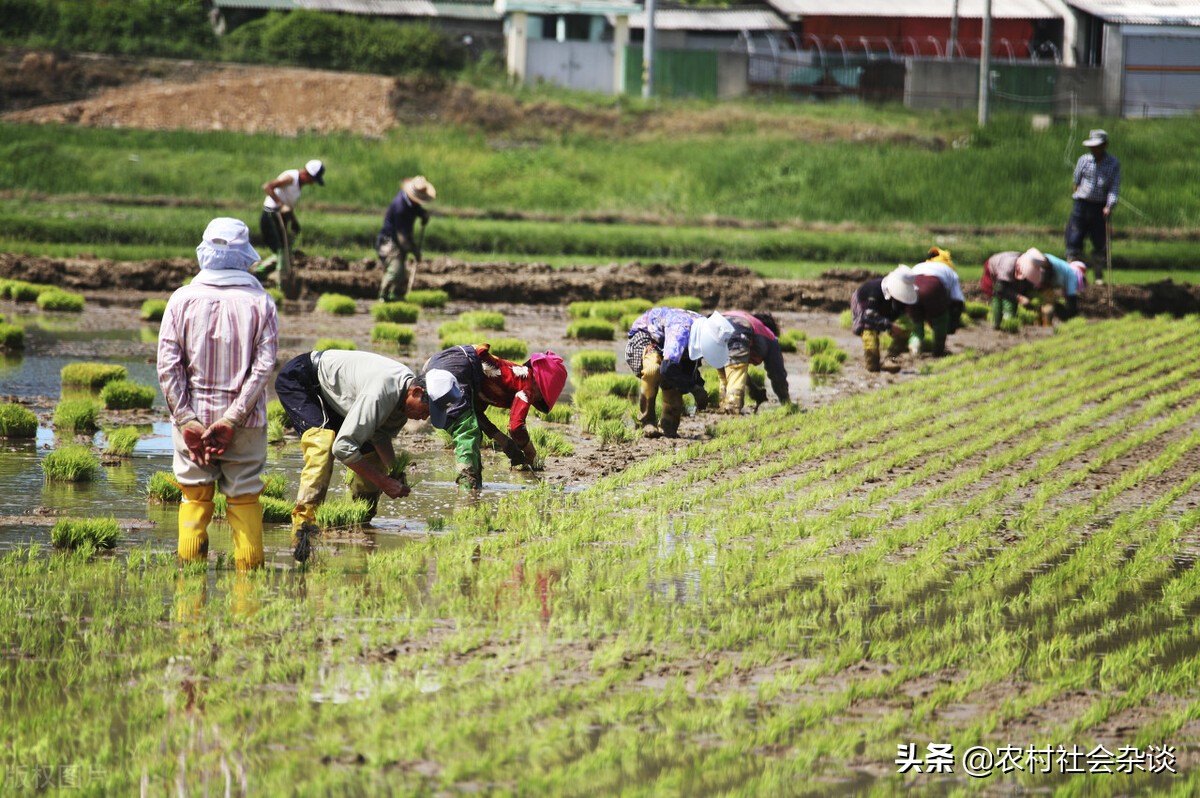 真实的韩国人民生活水平是什么样子？