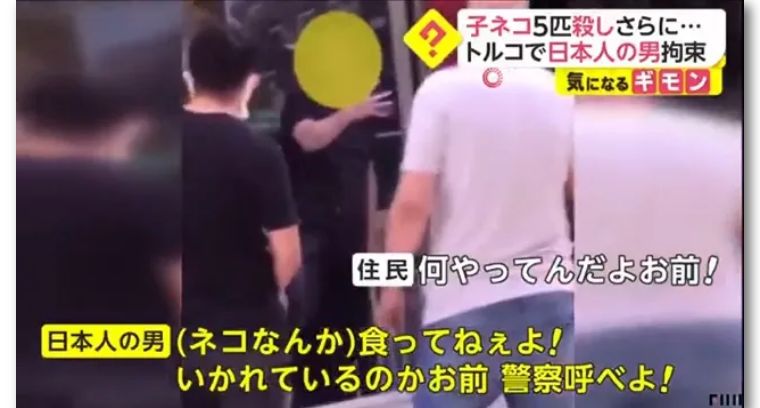 日本男子在土耳其杀猫吃被逮捕，辩称是日本习俗，结果日网民炸了