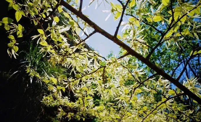 浙西的秘境山水打包送给你,这条自驾路线夏天去正好