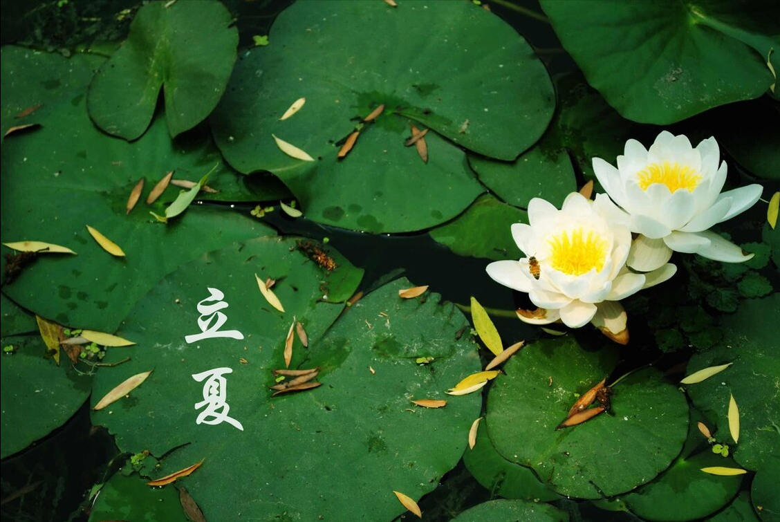 立夏的小诗-第1张图片-非凡网