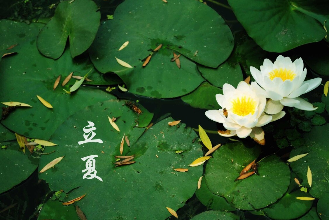 立夏的小诗