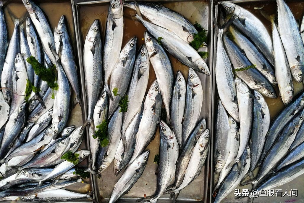 海鲜到市场涨价两成多，4元一斤带鱼到7元，开渔后梭子蟹价稳