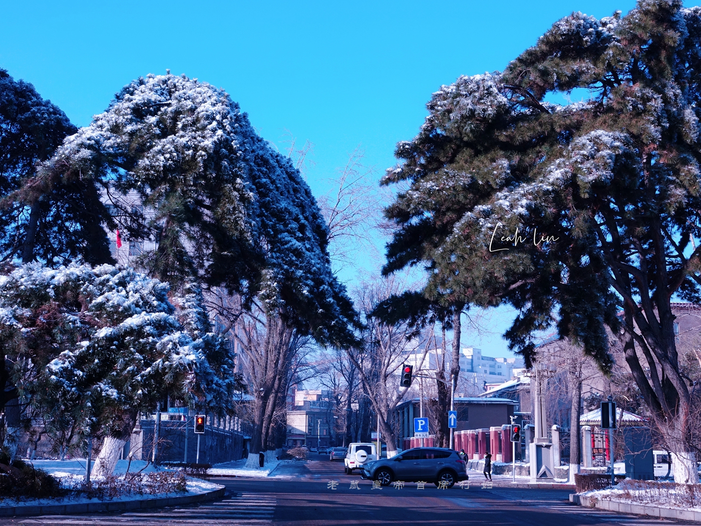 长春惊现百年不遇冰挂，冰雪奇缘太惊艳，连本地中年人都说没见过