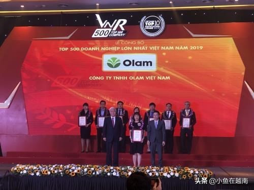 2019年越南企业500强榜单正式公布