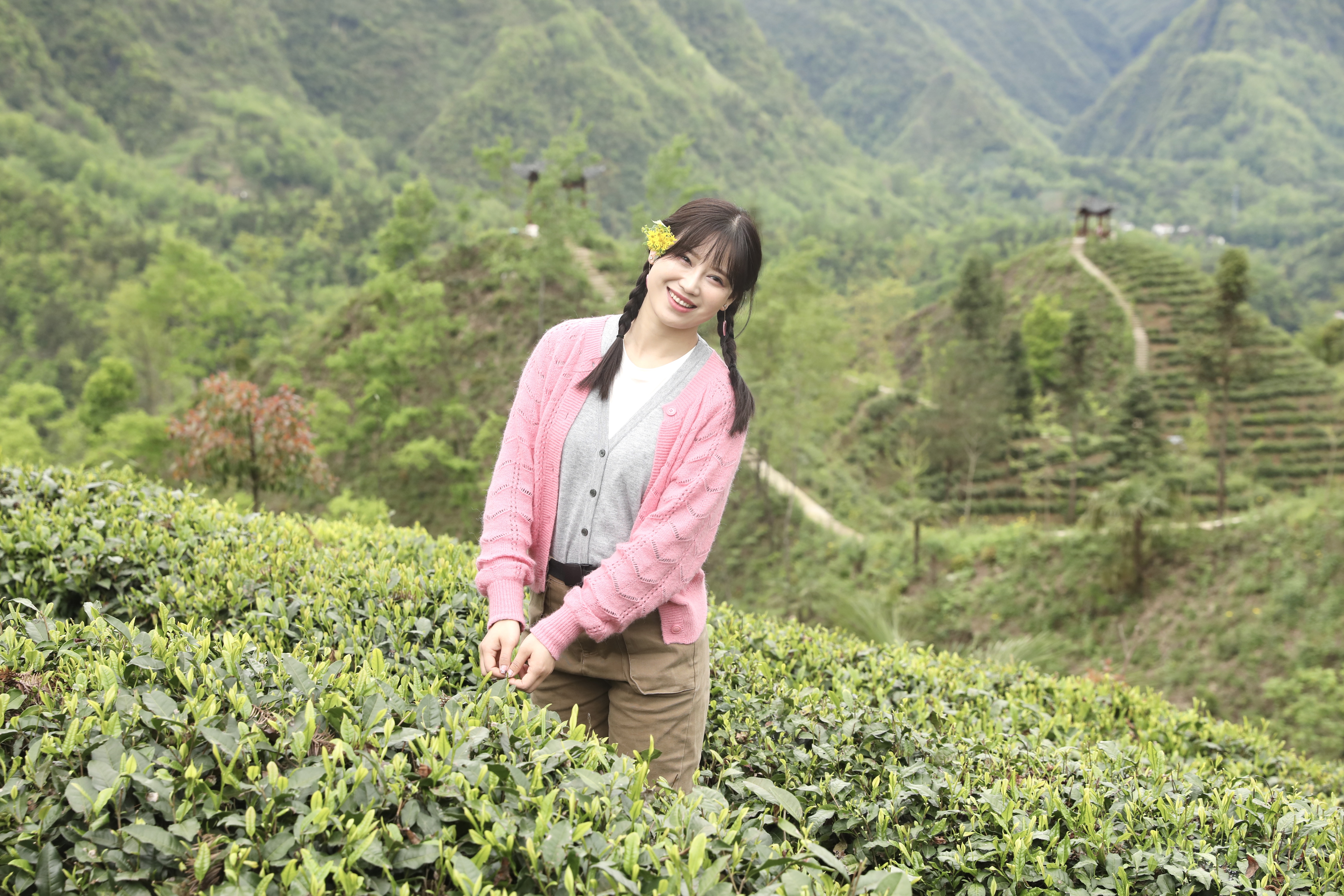 生態(tài)鎮(zhèn)巴，名茶之鄉(xiāng)，在鎮(zhèn)巴最美茶園采茶、品茗、觀(guān)云海