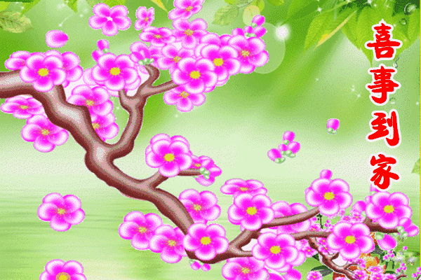 迎喜|大年初四迎喜神,吉祥喜鹊送给你 祝亲友一整年喜上眉梢喜事连连