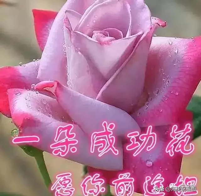 不管|初二早上好不管你身在何方 收到这份祝福你就是最有福的