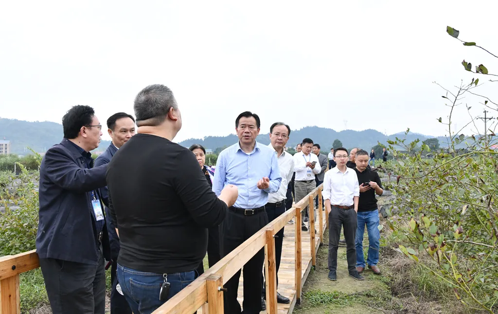 推动适度规模经营提升发展能力水平省市人大代表专题视察全市农民专业合作社建设